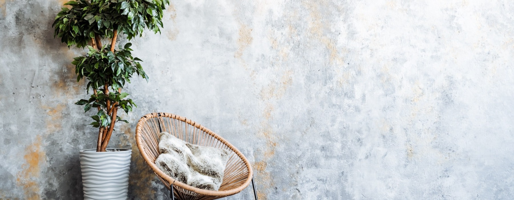 a chair and plant against a wall